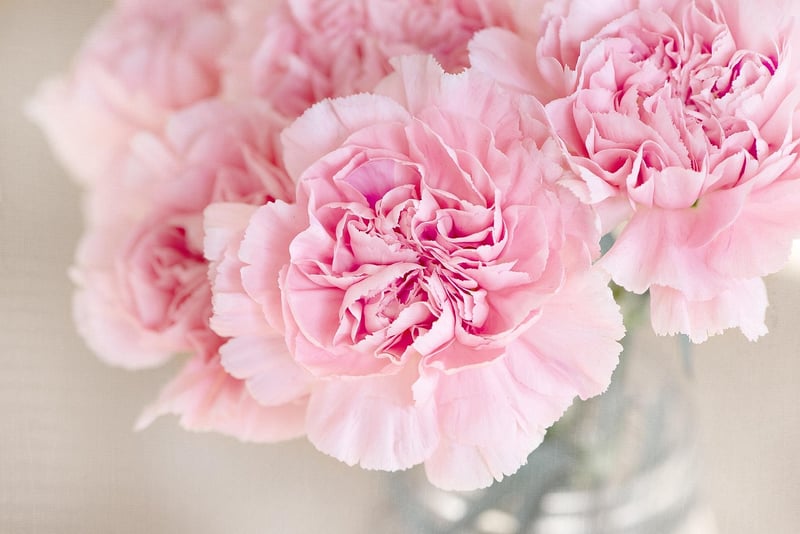Elegant Floral Arrangements